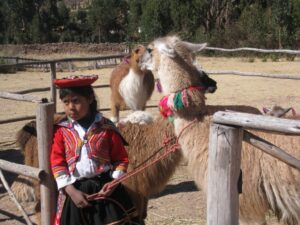 a young girl standing next to a llama