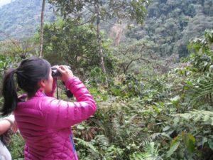 a woman looking through binoculars in the forest