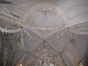 a ceiling with a chandelier and skulls