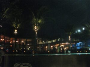 a building with palm trees at night