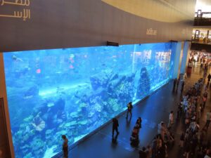 a large aquarium with many fish
