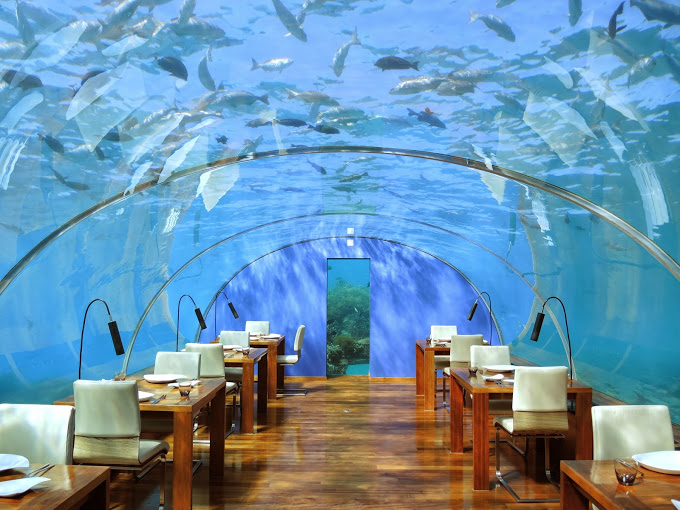 a restaurant with tables and chairs under a clear tunnel