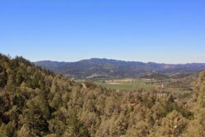 a landscape with trees and mountains