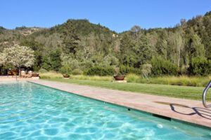 a pool with trees and a hill in the background