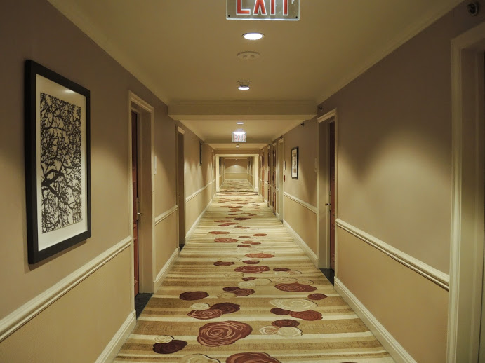 a long hallway with a carpeted floor