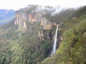 Angel Falls in a forest