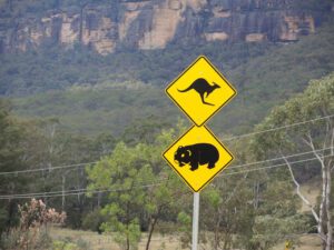 a yellow sign with kangaroo and bear