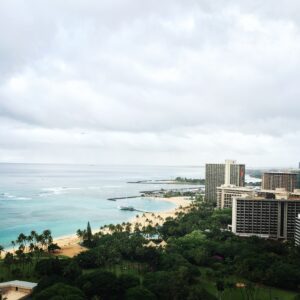 a beach with trees and buildings