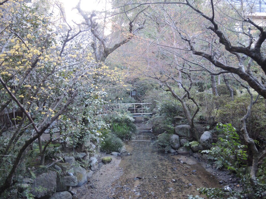 funaya ryokan matsuyama japanese garden 3