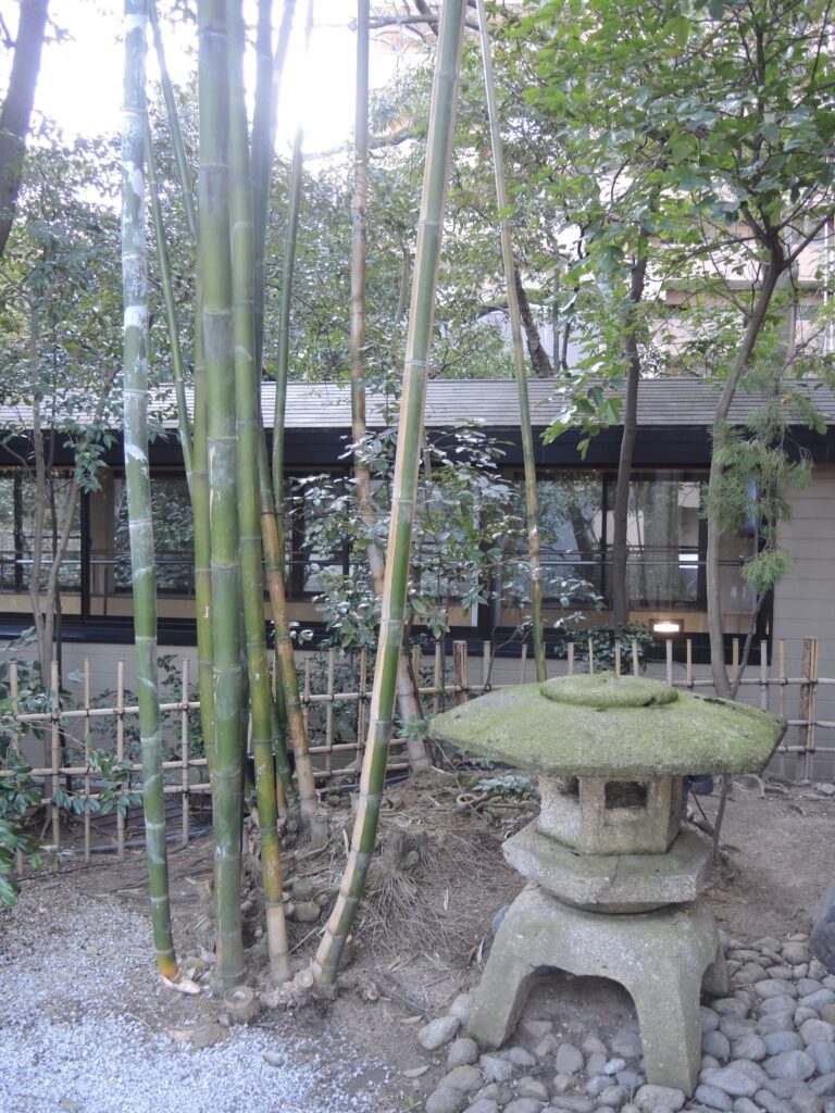 funaya ryokan matsuyama japanese garden 4