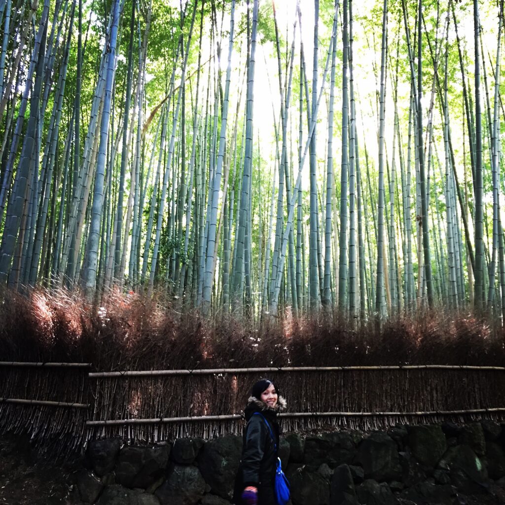 kyoto bamboo forest 3