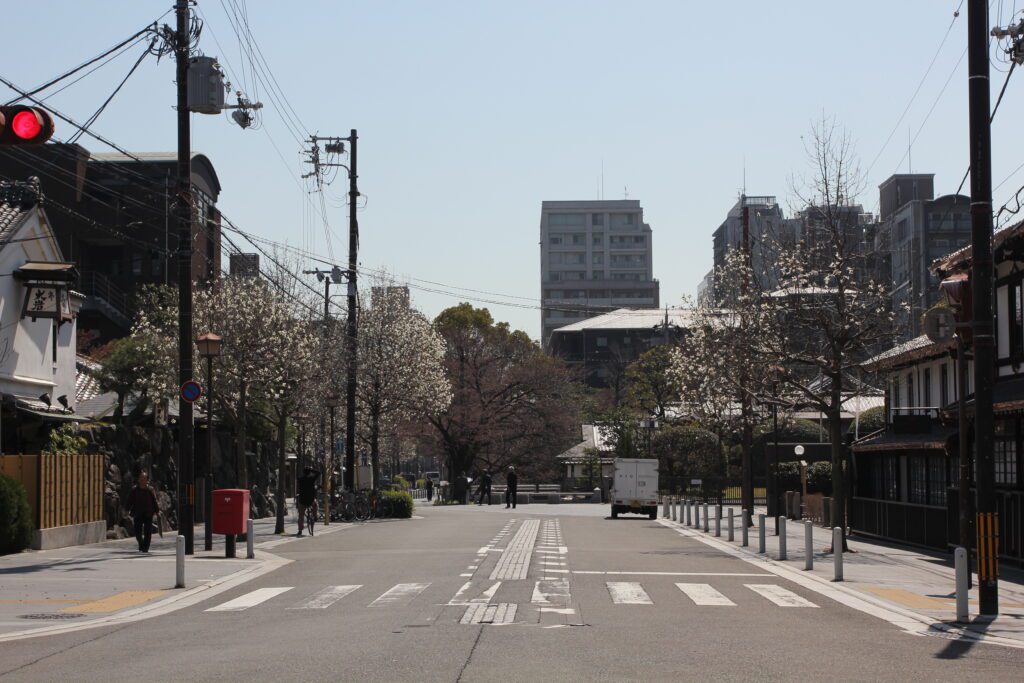kyoto early cherry blossoms street