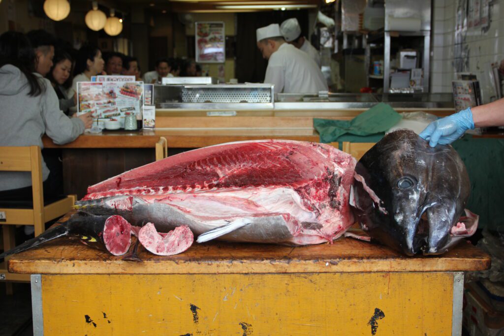 tsukiji fish market 3