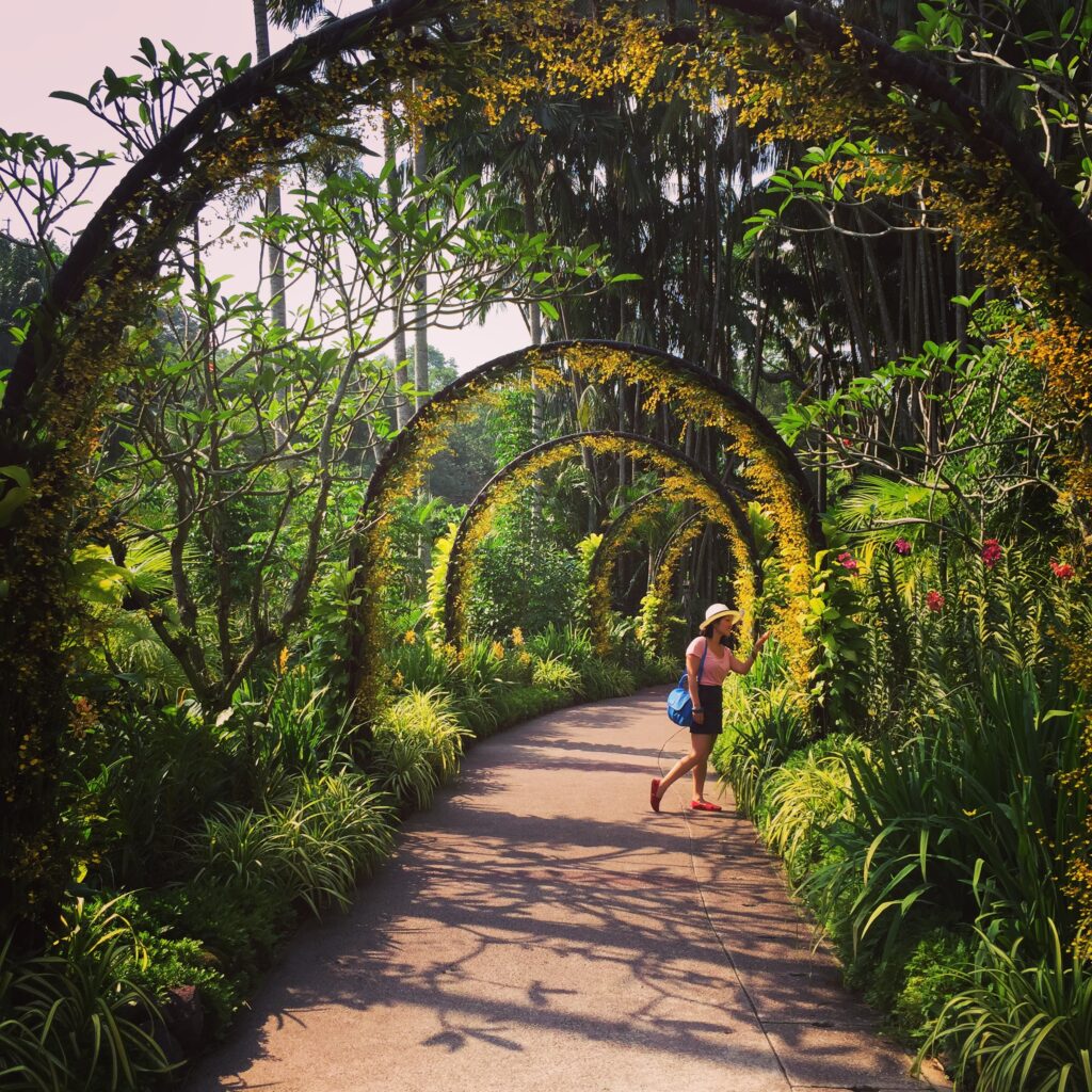 singapore national orchid garden walkway