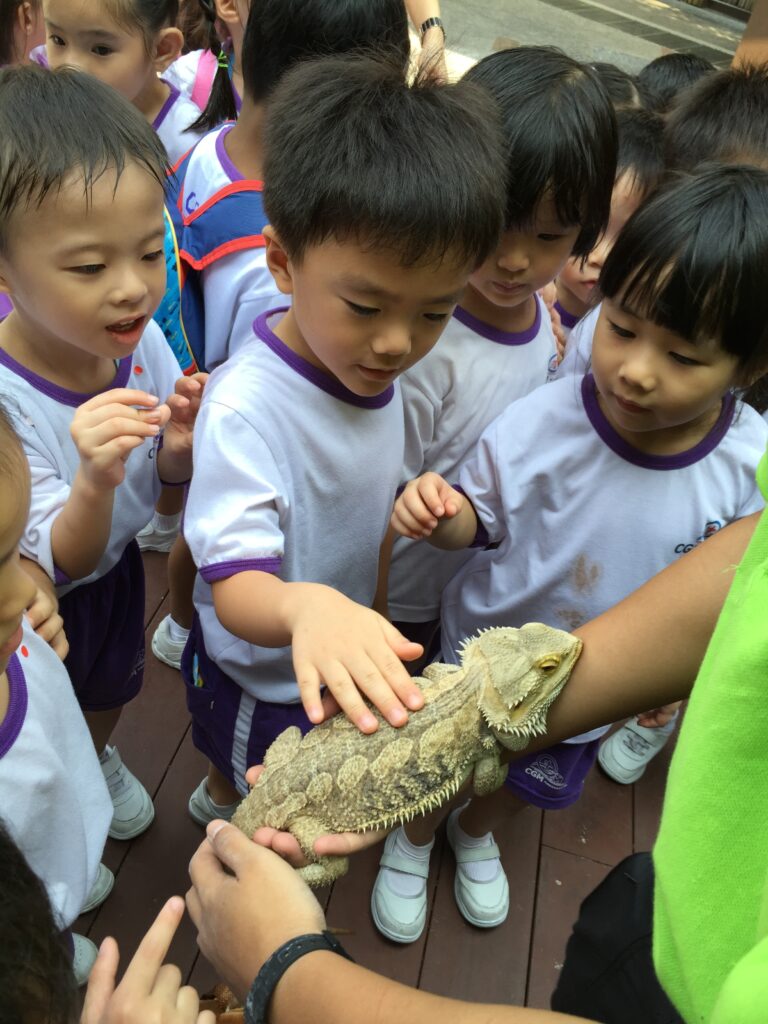 singapore zoo lizard