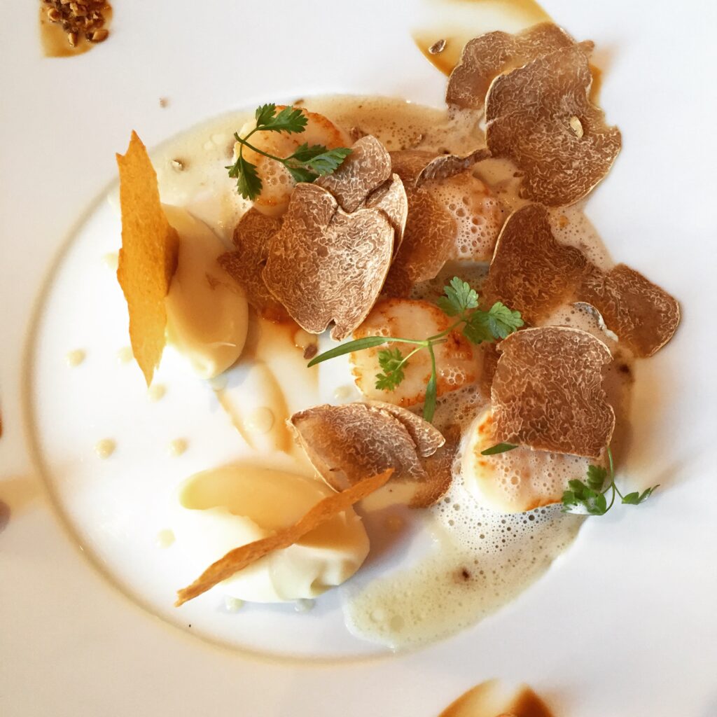 piazza duomo alba italy scallop white truffles