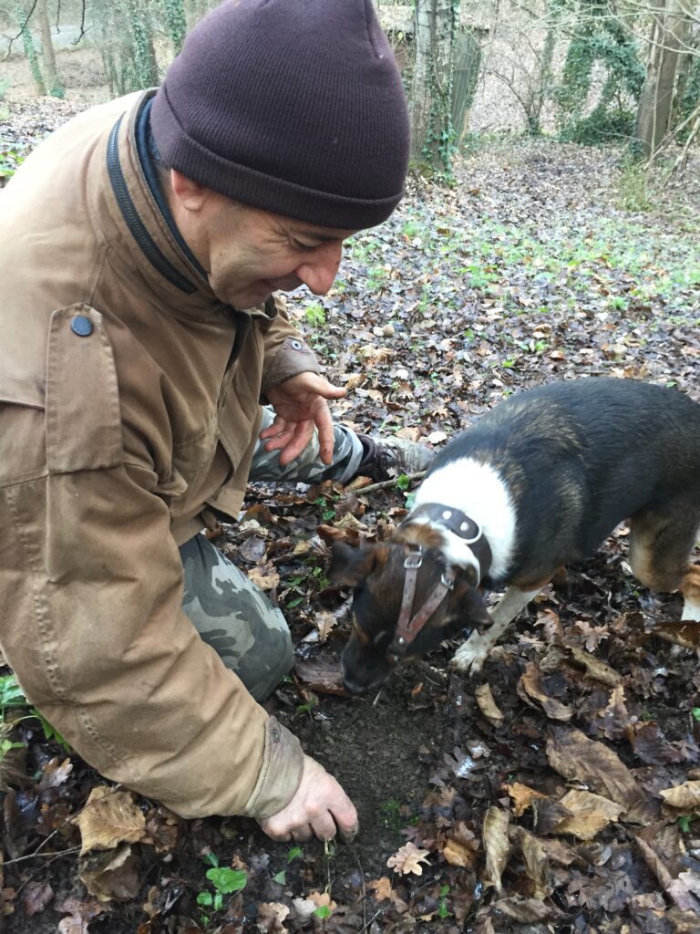 piedmont food & wine tour truffle hunting dog 3