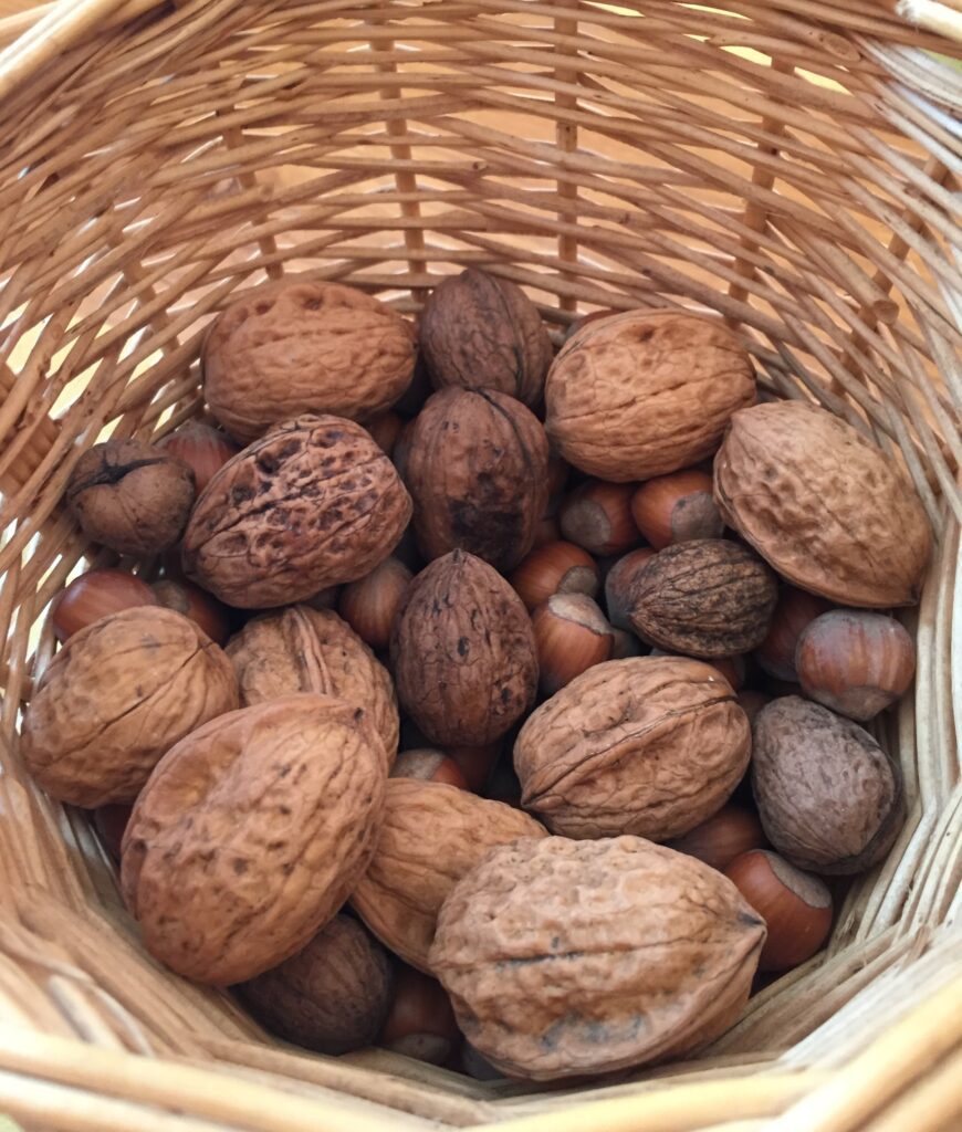 piedmont food & wine tour walnuts and hazelnuts